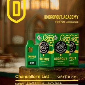 DROPOUT ACADEMY - DISPOSABLE RECHARGEABLE VAPE CART - SHATTER HASH - 3g