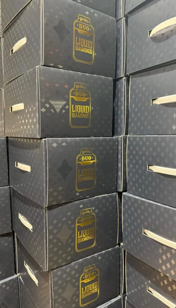 BIG CHIEF DUO 2G DSIPOSABLE - Image 3