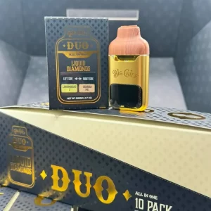 BIG CHIEF DUO 2G DSIPOSABLE