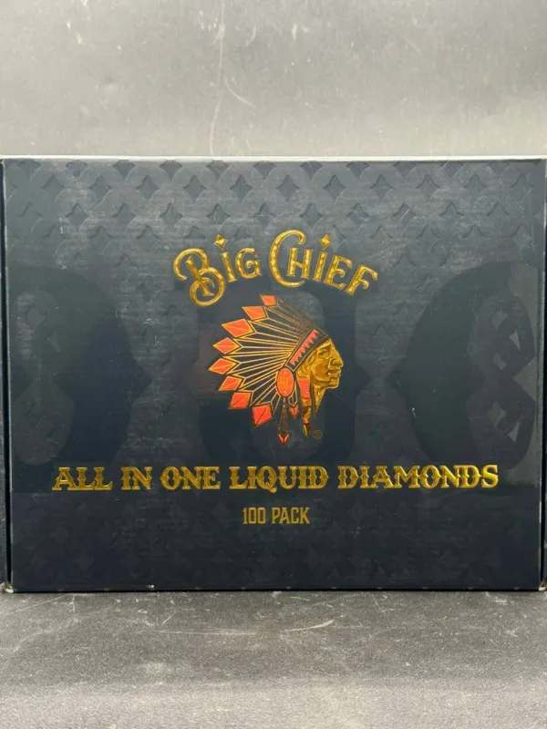 BIG CHIEF DUO 2G DSIPOSABLE - Image 4