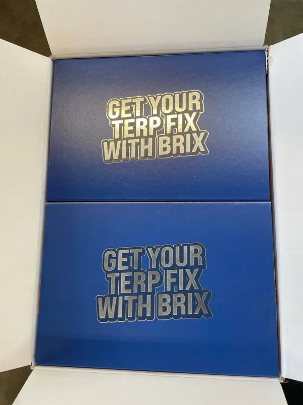 BRIX 2G Disposable - Image 7